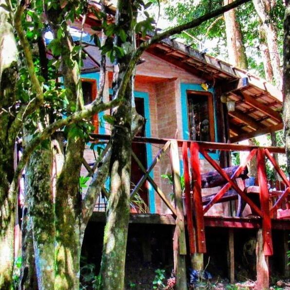 Casa Aconchegante Na Serra. Санту-Антониу-ду-Пиньял Экстерьер фото